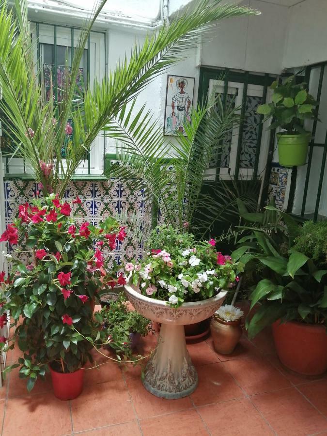 H Juan Hotel Marbella Ngoại thất bức ảnh